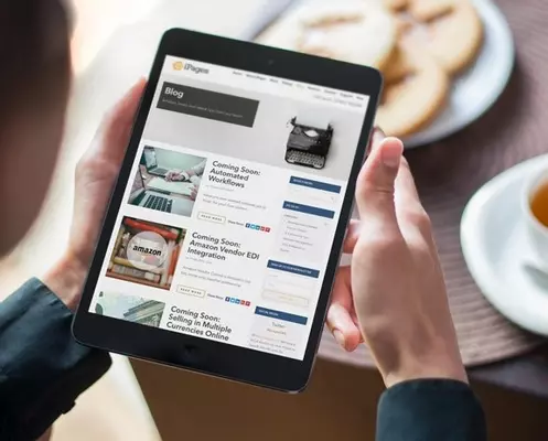 iPages tips for having success after your website has been launched 